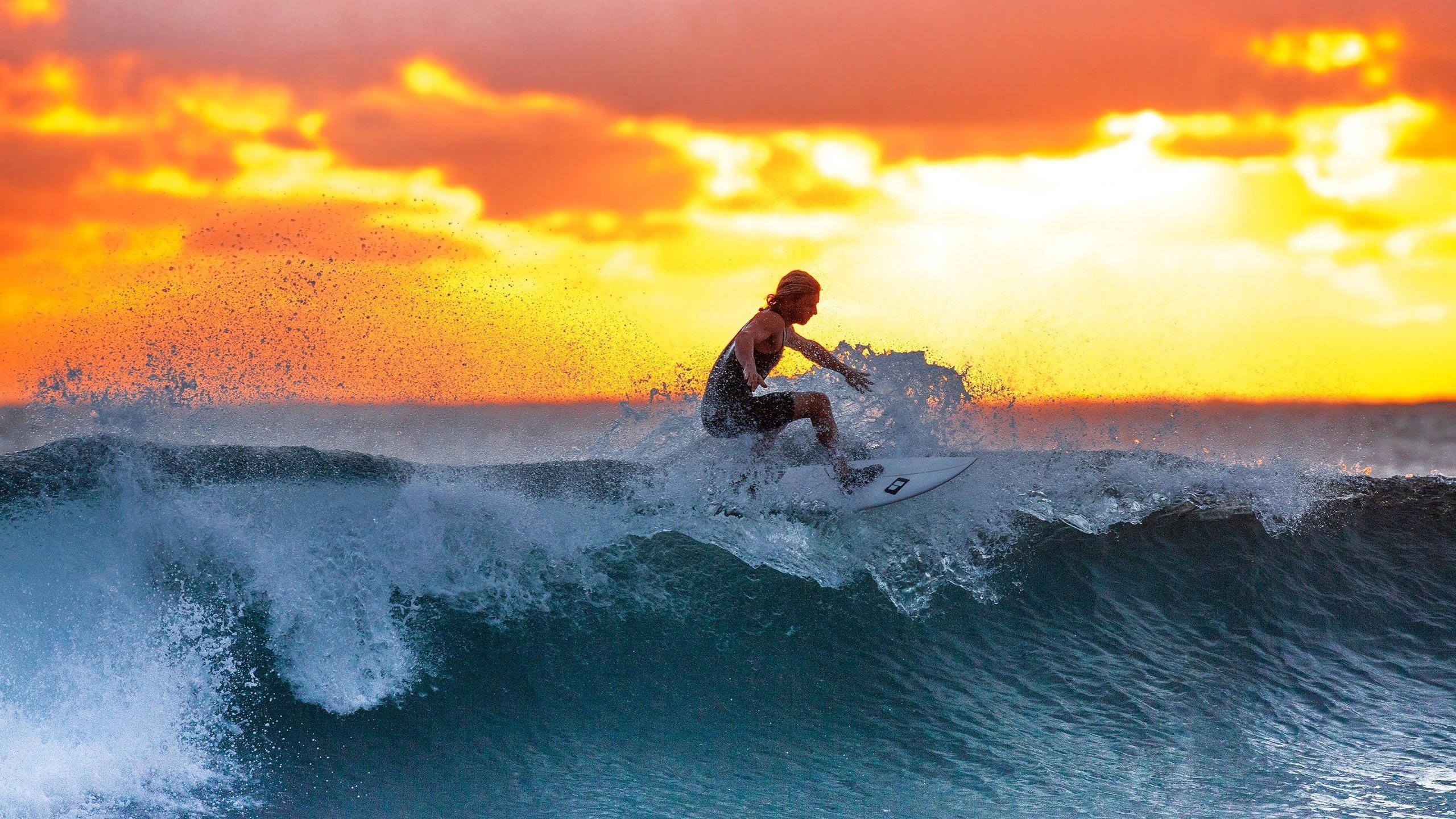 KY Gaming-TheShy五赛季高光再现，日本队球迷集体沸腾！
